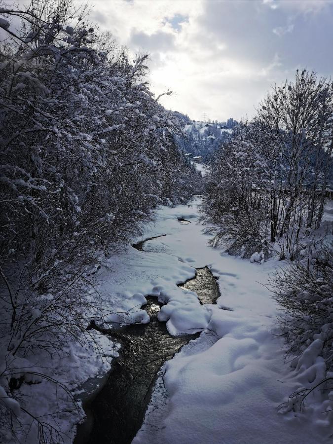 Apart Platzer Zell am Ziller Zewnętrze zdjęcie